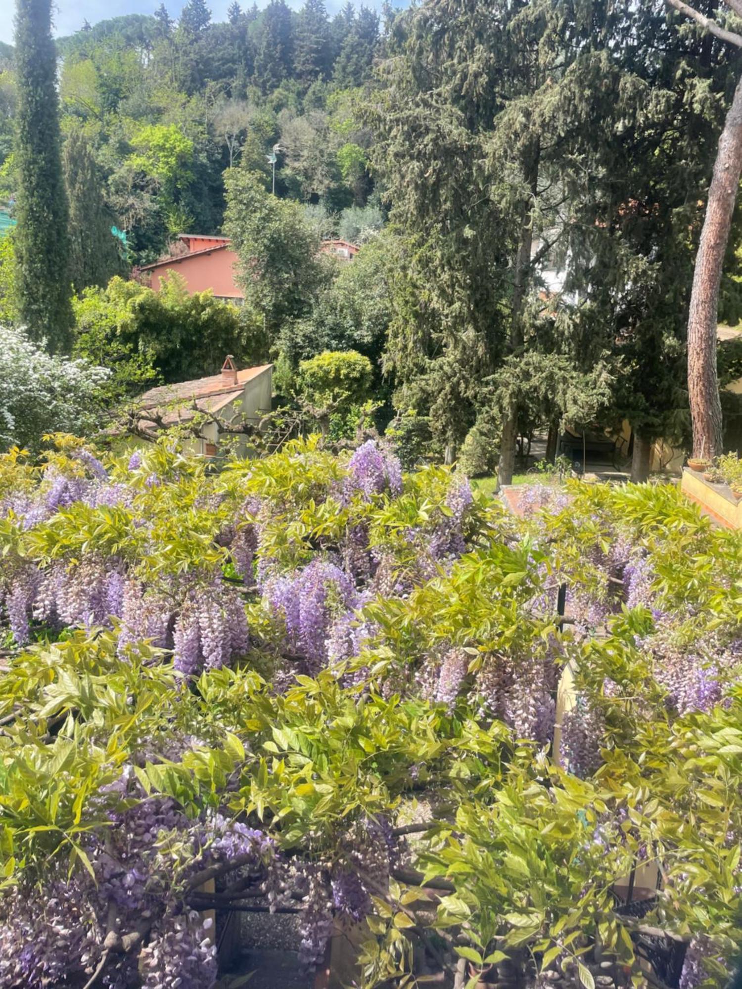 מלון פירנצה Albero Mago מראה חיצוני תמונה